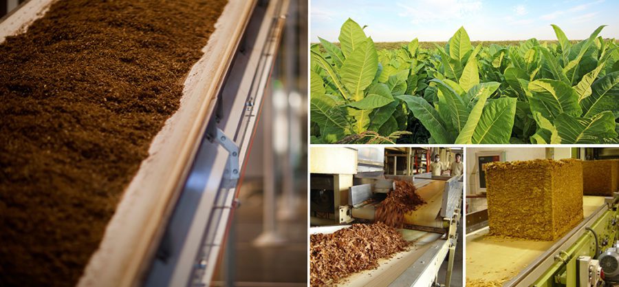 Agro-Tobacco-Belts