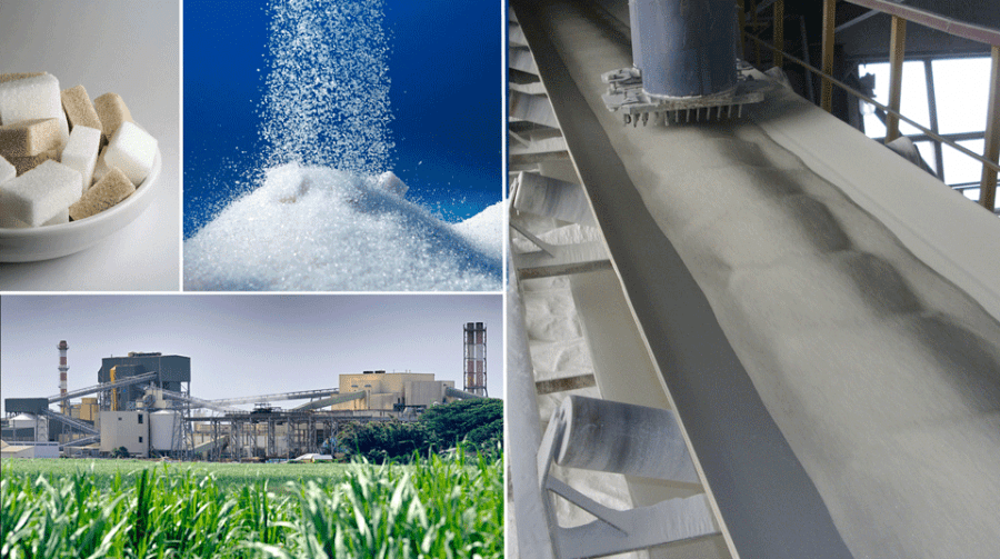 Esbelt Conveyor Belts Sugar Esbelt Conveyor Belts Sugar