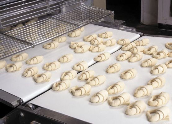 Esbelt PU Conveyor Belt - Croissants