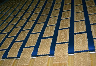 Conveyor-Belt- Polyester-Metal-Detectable