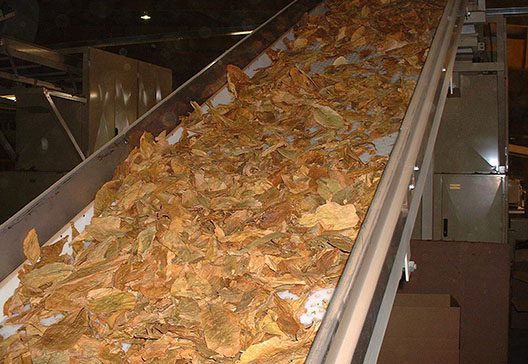 Conveyor-Belt-Polyester-Tobacco