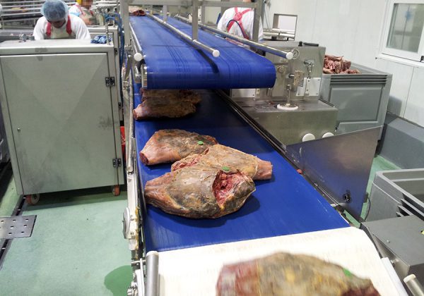 Conveyor belts for meat applications