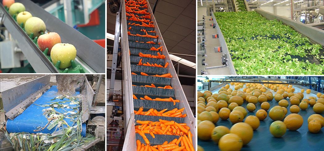 Esbelt Conveyor belts for fruits and vegetables