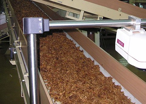 Conveyor-Belt-Polyolefin-Tobacco