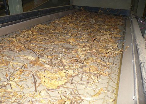 Conveyor-Belt-Polyolefin-Tobacco