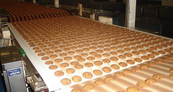 Esbelt Conveyor Belts - VERNA - Biscuits