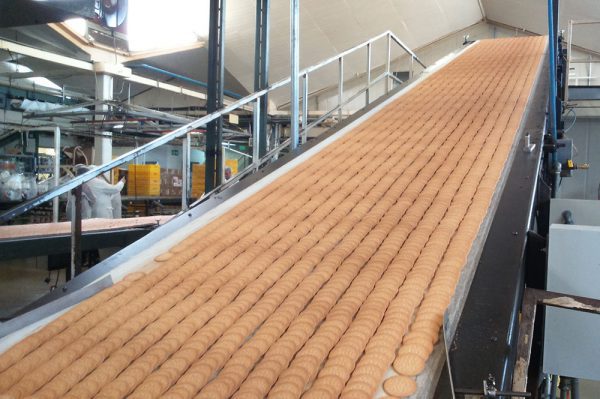 Conveyor Belt - Biscuits Cooling Line